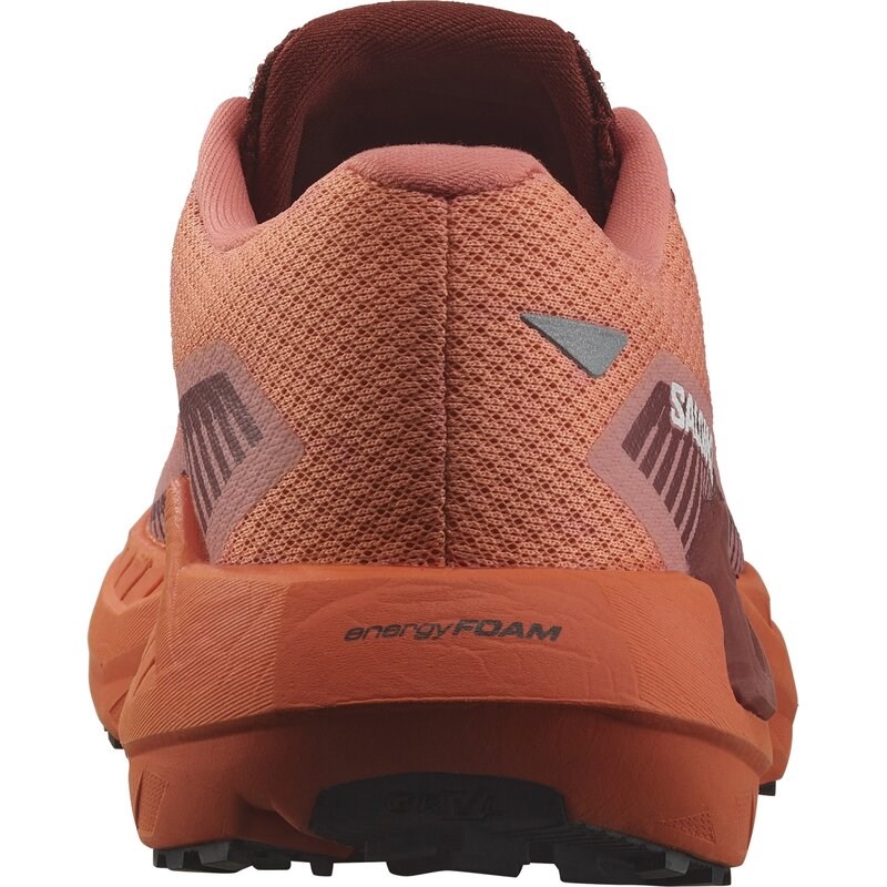 Salomon Damen Laufschuhe SHOES DRX DEFY GRVL W - Canyon Clay/Ingwer/Gebrannter Ziegelstein