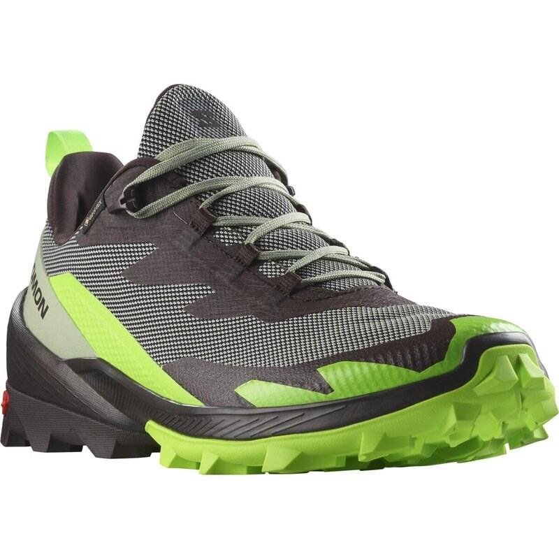 Salomon Herren Multifunktionsschuhe SHOES CROSS OVER 2 GTX - Wüstensalbei/Grüner Gecko/Schokolade P