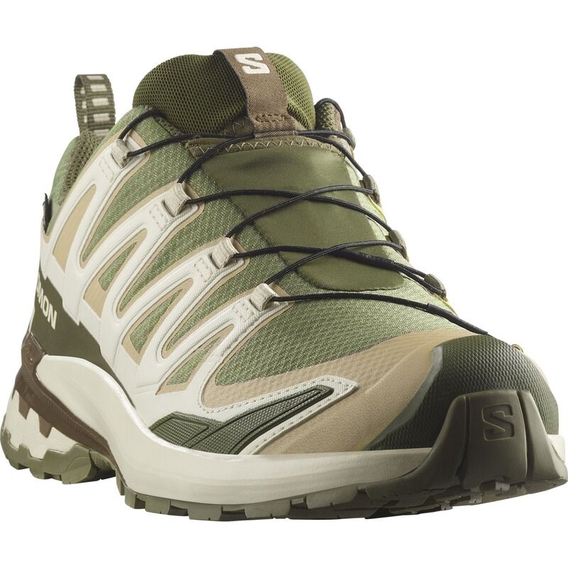 Salomon Herren Trailrunningschuhe SHOES XA PRO 3D V9 GTX - Tiefes Flechtengrün/Safari/Dunkle Erde