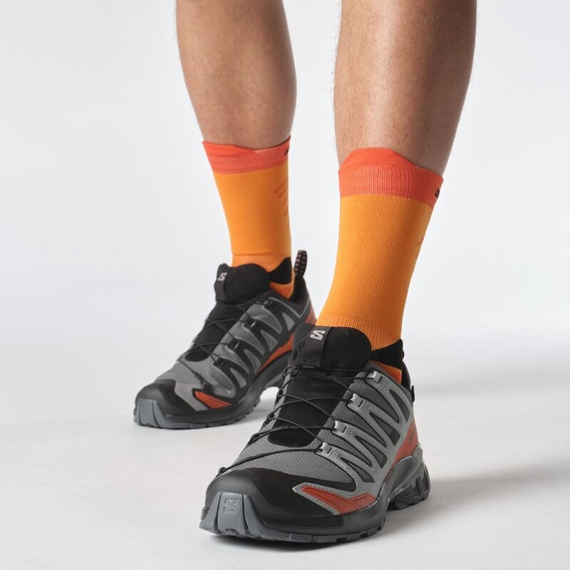 Salomon Herren Trailrunningschuhe SHOES XA PRO 3D V9 GTX - Turbulenz/Schwarz/Gebrannter Ocker