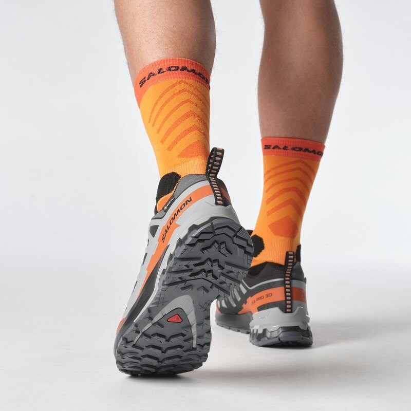 Salomon Herren Trailrunningschuhe SHOES XA PRO 3D V9 GTX - Turbulenz/Schwarz/Gebrannter Ocker