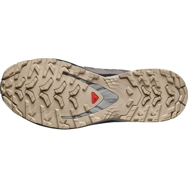 Salomon Damen Trailrunningschuhe SHOES XA PRO 3D V9 GTX W - Pflaumenkätzchen/Schwarz/Möwe