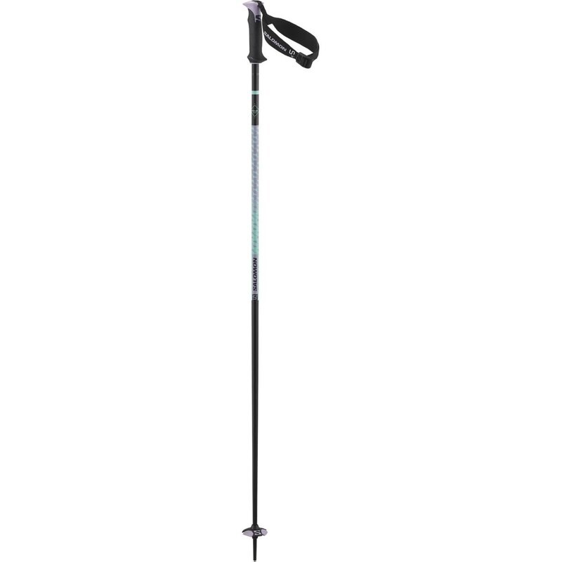 Salomon Herren Alpin-Skistock POLES POLAR PRO S3 - Flieder