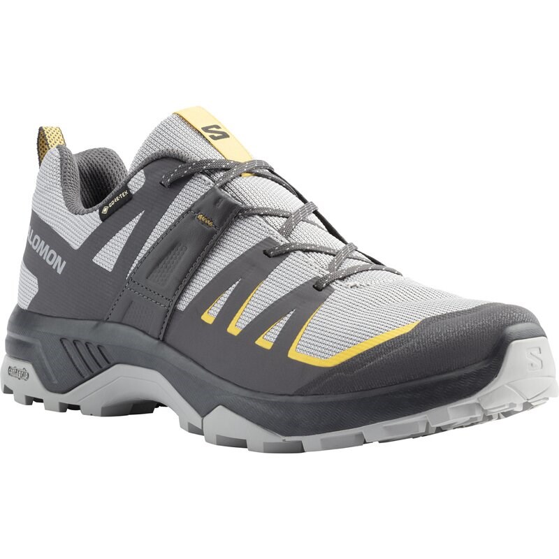 Salomon Herren Multifunktionsschuhe SHOES EXTEND GTX - Legierung/Asphalt/Scharfer Senf