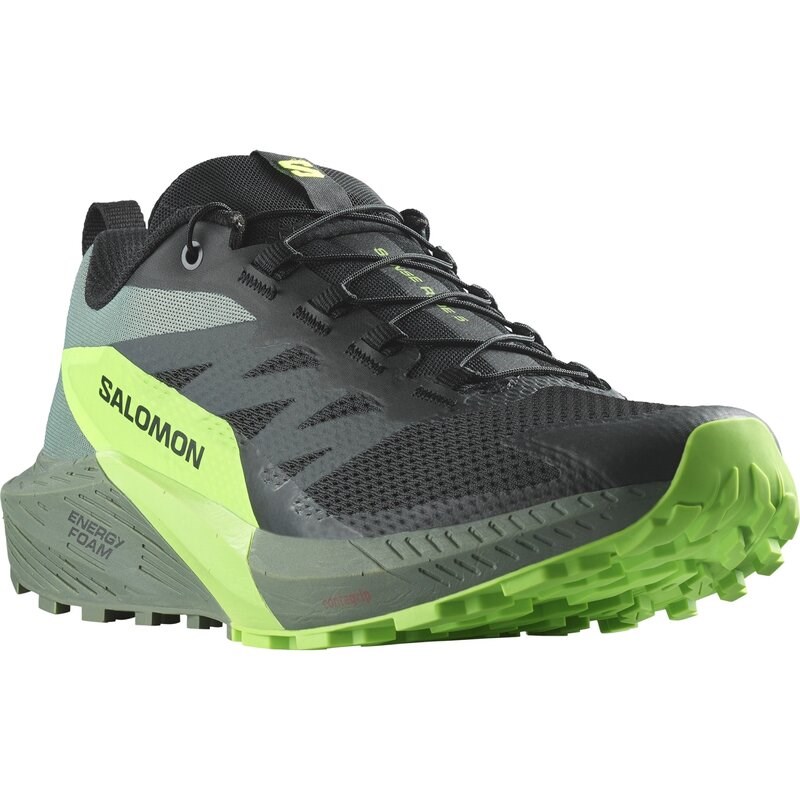 Salomon Herren Trailrunningschuhe SHOES SENSE RIDE 5 - Schwarz/Lorbeerkranz/Grüner Gecko