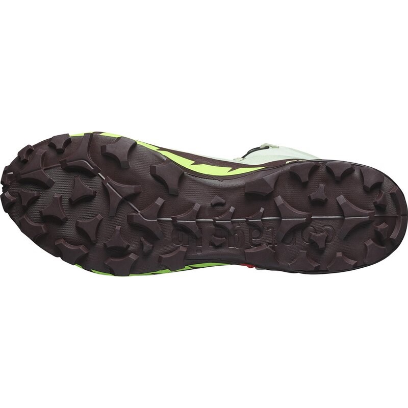 Salomon Herren Multifunktionsstiefel SHOES CROSS HIKE MID GTX 2 - Wüstensalbei/Grüner Gecko/Schokolade P