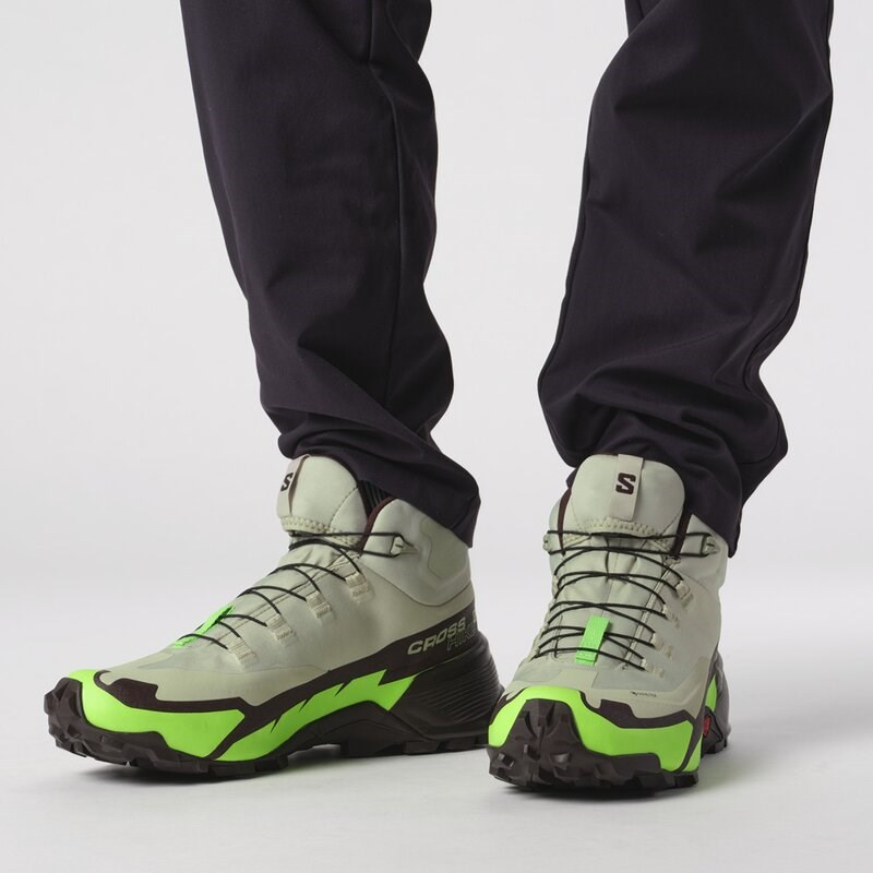 Salomon Herren Multifunktionsstiefel SHOES CROSS HIKE MID GTX 2 - Wüstensalbei/Grüner Gecko/Schokolade P