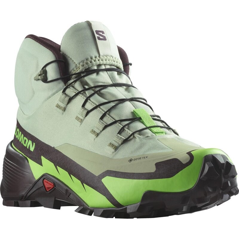 Salomon Herren Multifunktionsstiefel SHOES CROSS HIKE MID GTX 2 - Wüstensalbei/Grüner Gecko/Schokolade P