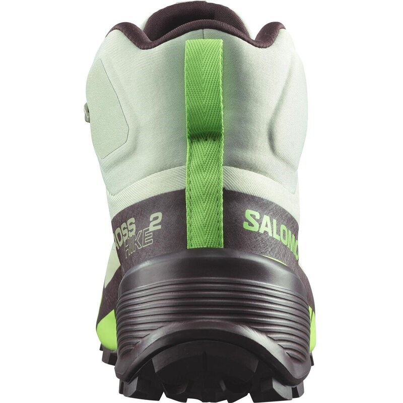 Salomon Herren Multifunktionsstiefel SHOES CROSS HIKE MID GTX 2 - Wüstensalbei/Grüner Gecko/Schokolade P