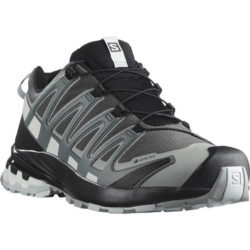 Salomon Herren Trailrunningschuhe SHOES XA PRO 3D v8 GTX - Magnet/Stürmisches Wetter/Weiß