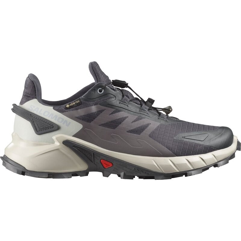 Salomon Damen Trailrunningschuhe SHOES SUPERCROSS 4 GTX W 9 - Neun Eisen/Lunar Rock/Cosmic Sky