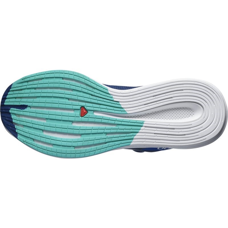 Salomon Herren Laufschuhe SHOES SPECTUR Estate - Landschaftsblau/Schillerndes Blau/Minzblatt