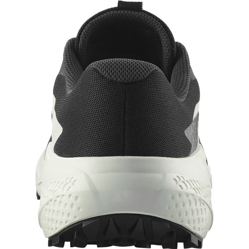 Salomon Herren Trailrunningschuhe SHOES ALPHAGLIDE - Schwarz/Phantom/Eiszapfen