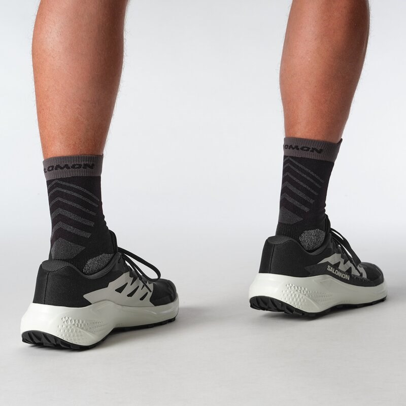 Salomon Herren Trailrunningschuhe SHOES ALPHAGLIDE - Schwarz/Phantom/Eiszapfen