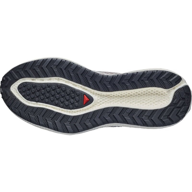 Salomon Herren Laufschuhe SHOES AERO GLIDE 4 GRVL - Vanilleeis/Schwarz/Eisen