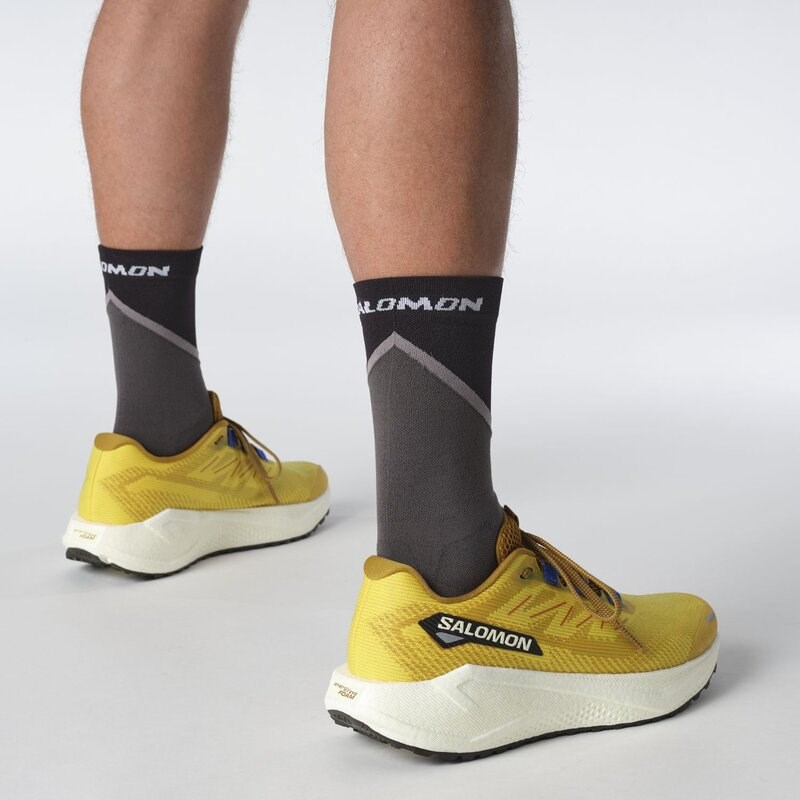 Salomon Herren Laufschuhe SHOES AERO BLAZE 3 GRVL - Scharfer Senf/Vanilleeis/Nautisch